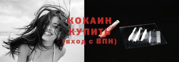 сатива Володарск