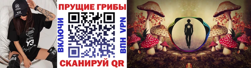 Псилоцибиновые грибы Psilocybe  Купить где  Тула 